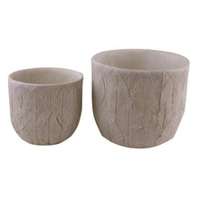 Load image into Gallery viewer, Set of 2 Cement Embossed Leaf Planters
