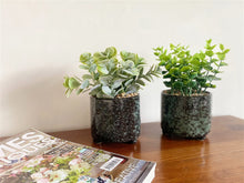 Load image into Gallery viewer, Set Of Two Succulent In Glazed Pots
