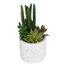 Load image into Gallery viewer, Succulents In Aztec Embossed Pot
