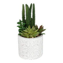 Load image into Gallery viewer, Succulents In Aztec Embossed Pot
