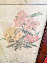 Load image into Gallery viewer, Antique Vintage Three Fold Screen Room Divider