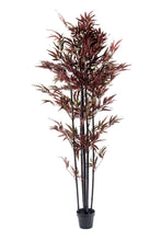 Load image into Gallery viewer, Bamboo Tree Red &amp; Green 180cm
