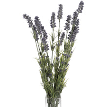 Load image into Gallery viewer, Large Lavender Bush

