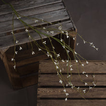 Load image into Gallery viewer, White Willow Spray
