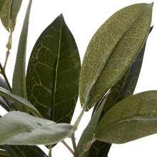 Load image into Gallery viewer, Faux Bay Leaf Spray
