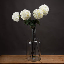 Load image into Gallery viewer, Large White Chrysanthemum
