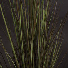 Load image into Gallery viewer, Spray Grass 36 Inch
