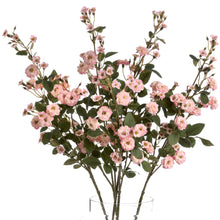 Load image into Gallery viewer, Pink Wild Meadow Rose

