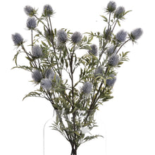 Load image into Gallery viewer, Eryngium Blue Thistle
