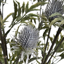 Load image into Gallery viewer, Eryngium Blue Thistle
