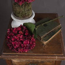 Load image into Gallery viewer, Autumn Ruby Hydrangea
