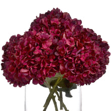 Load image into Gallery viewer, Autumn Ruby Hydrangea
