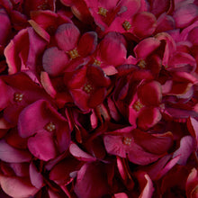 Load image into Gallery viewer, Autumn Ruby Hydrangea

