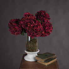 Load image into Gallery viewer, Autumn Ruby Hydrangea
