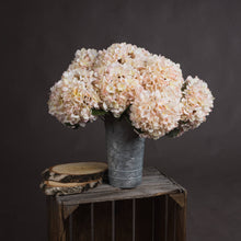 Load image into Gallery viewer, Autumn White Hydrangea
