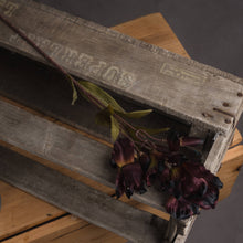 Load image into Gallery viewer, Chocolate Alstroemeria Lily Spray
