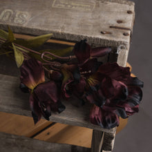 Load image into Gallery viewer, Chocolate Alstroemeria Lily Spray
