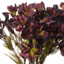Load image into Gallery viewer, Chocolate Alstroemeria Lily Spray
