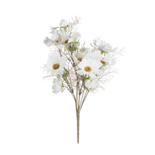 Load image into Gallery viewer, Cream Cosmos Spray
