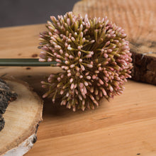 Load image into Gallery viewer, Pink Allium
