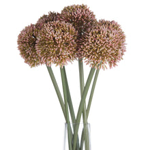 Load image into Gallery viewer, Pink Allium

