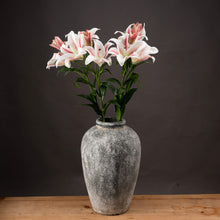 Load image into Gallery viewer, Stargazer Lily
