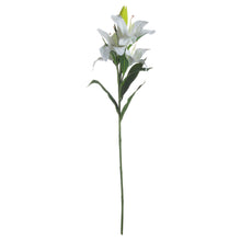 Load image into Gallery viewer, White Lily
