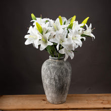 Load image into Gallery viewer, White Lily

