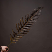 Load image into Gallery viewer, Single Brown Fern Leaf
