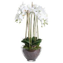 Load image into Gallery viewer, Large White Orchid In Glass Pot
