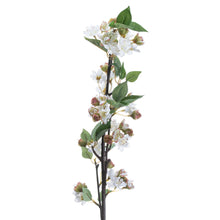 Load image into Gallery viewer, English Blossom Branch
