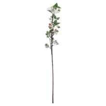 Load image into Gallery viewer, English Blossom Branch
