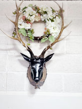Load image into Gallery viewer, Stag Head - Charlotte Rose Interiors
