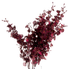 Load image into Gallery viewer, Deep Burgundy Orchid Spray
