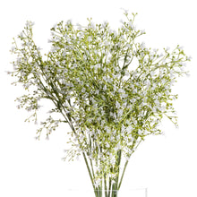 Load image into Gallery viewer, White Wildflower Spray
