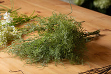 Load image into Gallery viewer, Asparagus Fern Bunch
