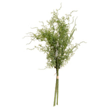 Load image into Gallery viewer, Asparagus Fern Bunch
