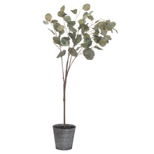 Load image into Gallery viewer, Eucalyptus Tree In Metallic Pot
