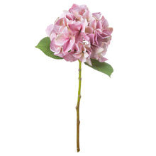 Load image into Gallery viewer, Shabby Pink Single Hydrangea
