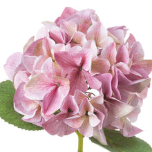 Load image into Gallery viewer, Shabby Pink Single Hydrangea
