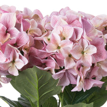 Load image into Gallery viewer, Shabby Pink Hydrangea Bouquet
