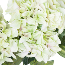 Load image into Gallery viewer, Shabby Green Hydrangea Bouquet
