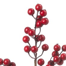 Load image into Gallery viewer, Mini Festive Berry Pick
