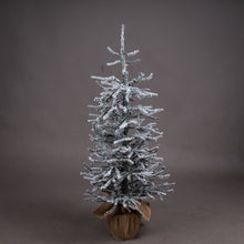 Load image into Gallery viewer, Medium Frosted Mini Tree
