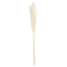 Load image into Gallery viewer, Cream Pampas Grass Stem
