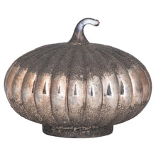 Load image into Gallery viewer, The Lustre Collection Decorative Burnished Pumpkin
