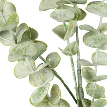 Load image into Gallery viewer, Gunnii Eucalyptus Spray
