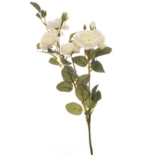 Load image into Gallery viewer, Soft White Cottage Rose Stem
