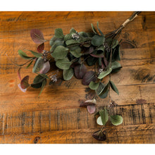 Load image into Gallery viewer, Variegated Eucalyptus Bouquet
