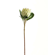 Load image into Gallery viewer, Large White Protea
